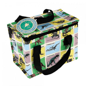 Insulated lunch bag with dinosaur design