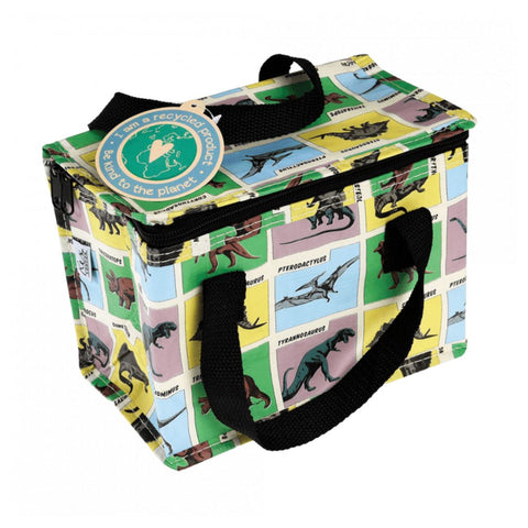 Insulated lunch bag with dinosaur design