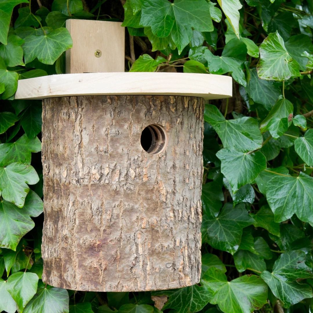 Natural Log Tit Nesting Box