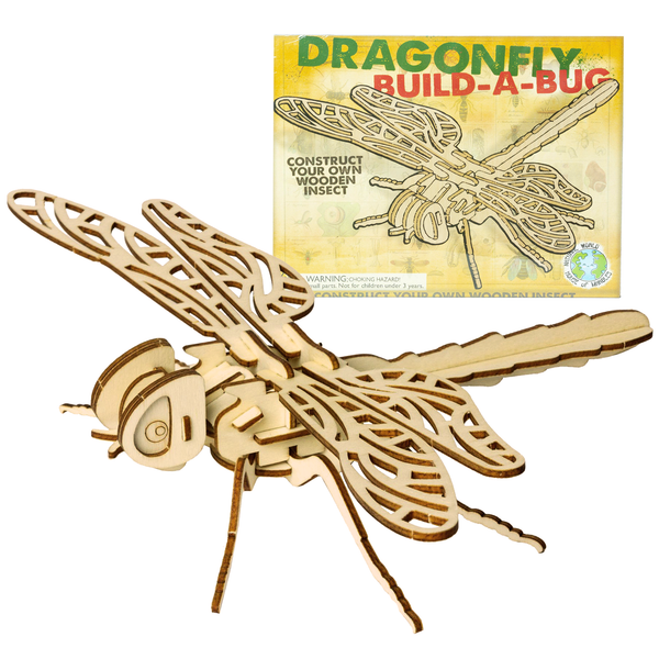 Wooden bug kits