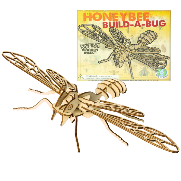 Wooden bug kits