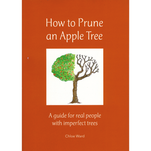 How to Prune an Apple Tree