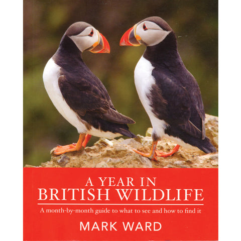 A Year in British Wildlife: A Detailed Account Of The Changing Seasons And Its Effects On British Wildlife